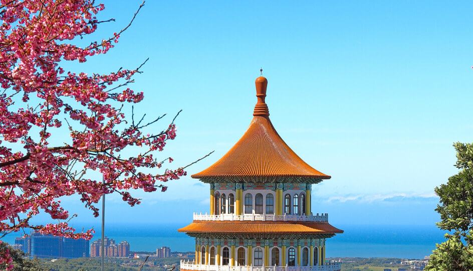 Cherry blossom, Tianyuan Temple in Taiwan